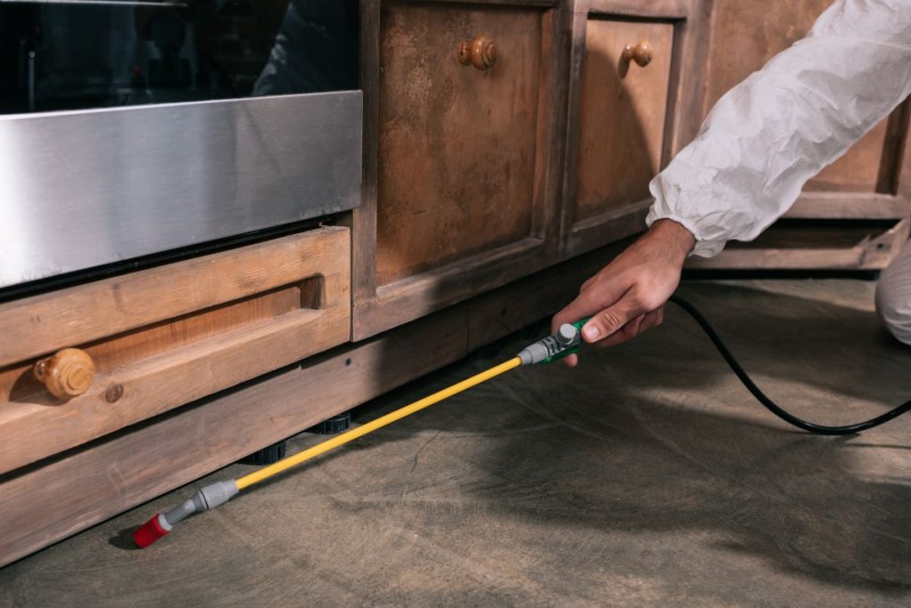 cropped image of pest control worker spraying pesticides under cabinet in kitchen