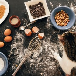 10 Foods That Are a Big No-No for Dogs and Cats