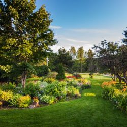 What are the principles of landscape design? How do you make a backyard look expensive?