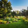 Beautiful Front Yark Garden and Grass