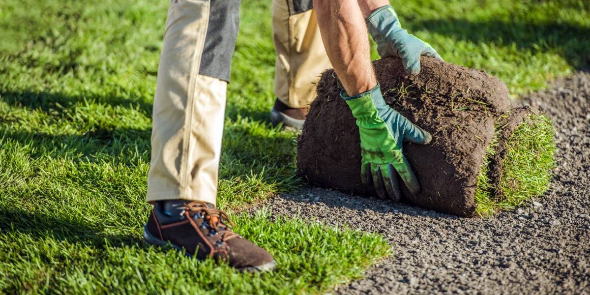 Caucasian Landscaping Worker Installing Turf Yourself