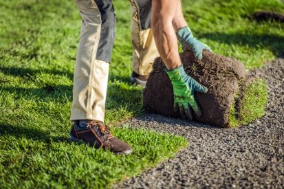 Caucasian Landscaping Worker Installing Turf Yourself