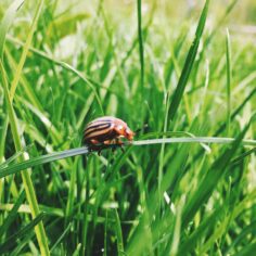 Processed with VSCO with f1 preset