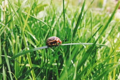 Processed with VSCO with f1 preset