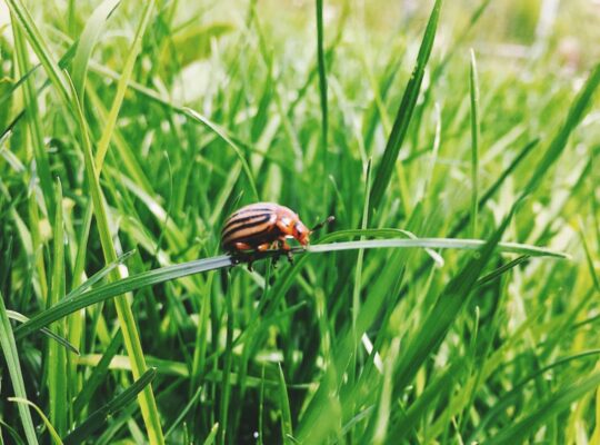 Processed with VSCO with f1 preset