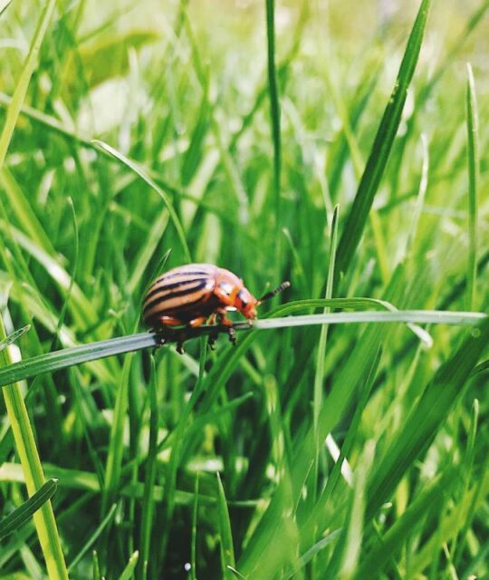 Processed with VSCO with f1 preset