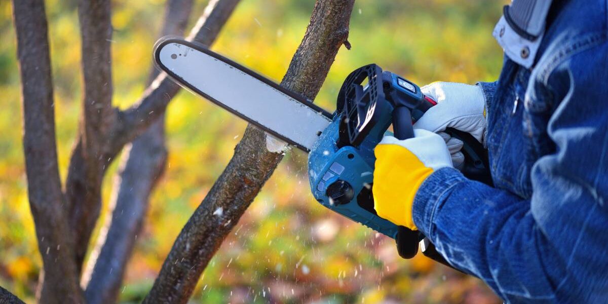 A gardener pruns trees with a lightweight cordless chain saw. Work in the autumn garden.