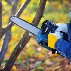 A gardener pruns trees with a lightweight cordless chain saw. Work in the autumn garden.