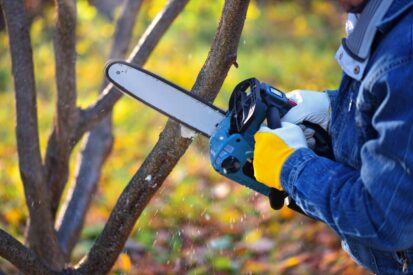 A gardener pruns trees with a lightweight cordless chain saw. Work in the autumn garden.