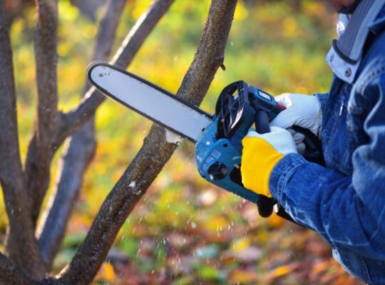 A gardener pruns trees with a lightweight cordless chain saw. Work in the autumn garden.