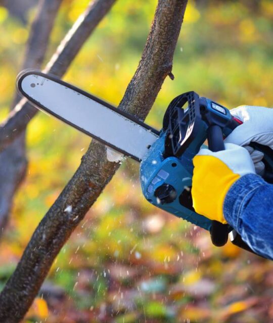A gardener pruns trees with a lightweight cordless chain saw. Work in the autumn garden.